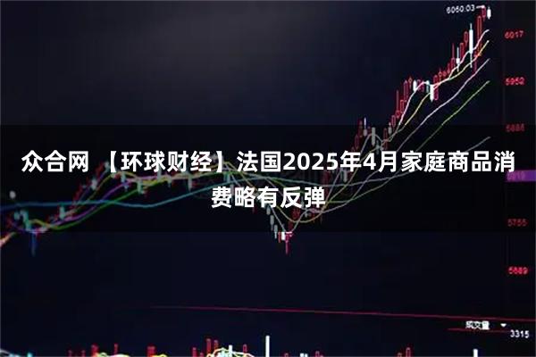 众合网 【环球财经】法国2025年4月家庭商品消费略有反弹