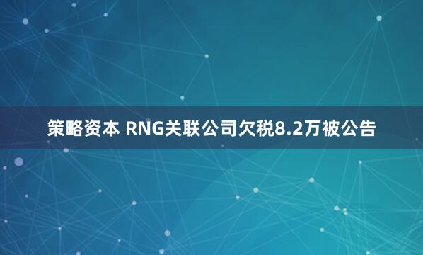 策略资本 RNG关联公司欠税8.2万被公告