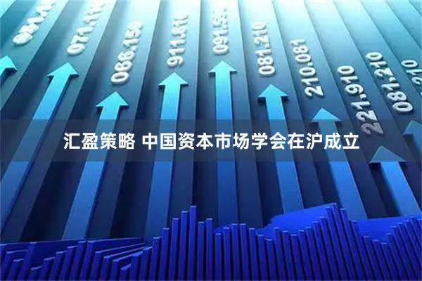 汇盈策略 中国资本市场学会在沪成立