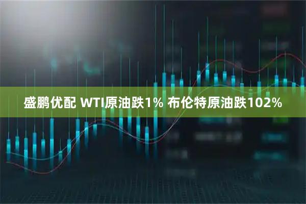盛鹏优配 WTI原油跌1% 布伦特原油跌102%