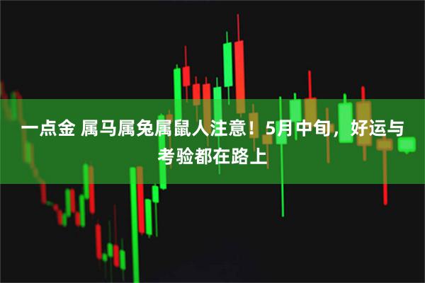 一点金 属马属兔属鼠人注意！5月中旬，好运与考验都在路上